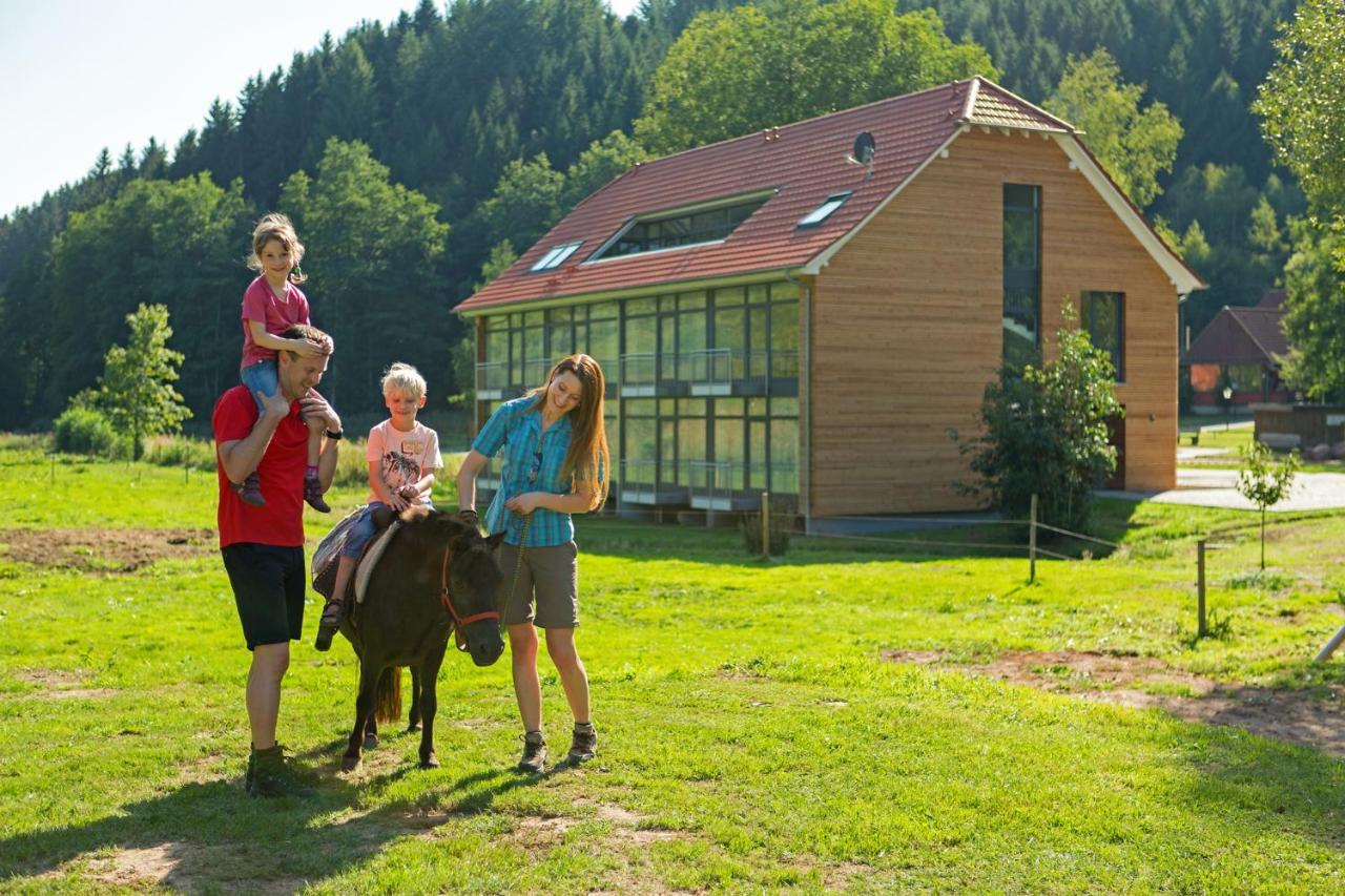 Landhotel Weihermühle Thaleischweiler-Froschen Exterior foto